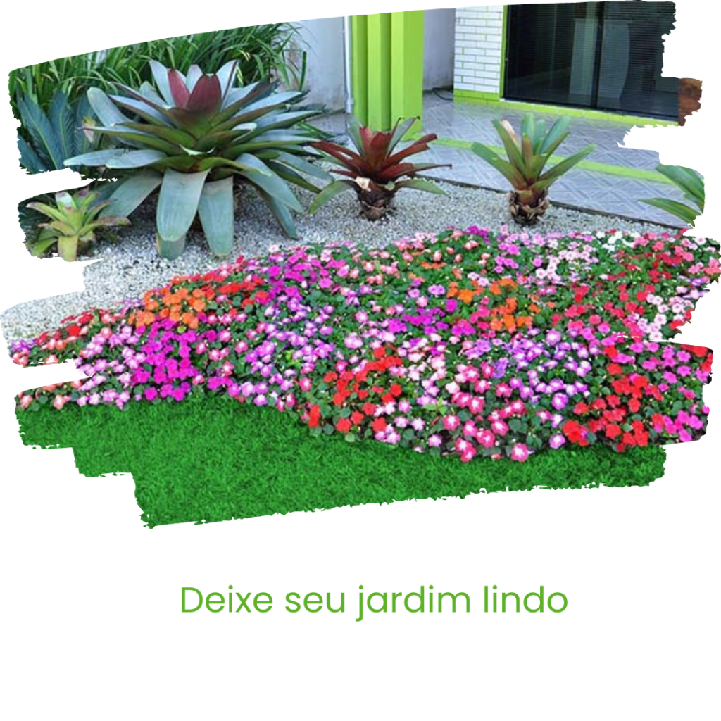 FLORICULTURA E REFLORESTAMENTO - LAGOA SANTA - BELO HORIZONTE - MINAS GERAIS